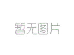 5噸單鏈電動葫蘆承重多少斤？